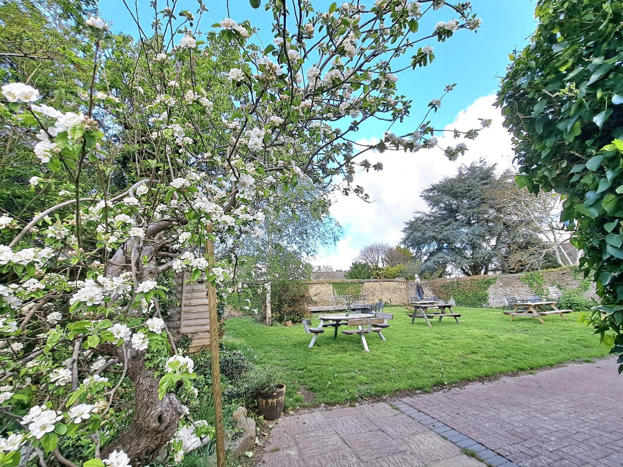Bed and Breakfast The White Hart à Eynsham Extérieur photo